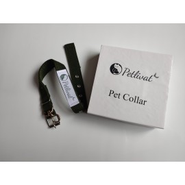 Petlivat Pets Republic Pet Essentials Classic Dog Collar, Turquoise, Small, Neck 12"-16", Nylon Collars for Dogs